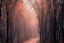 水晶宫全队发扬团结，客场逼平实力对手成功保住比分